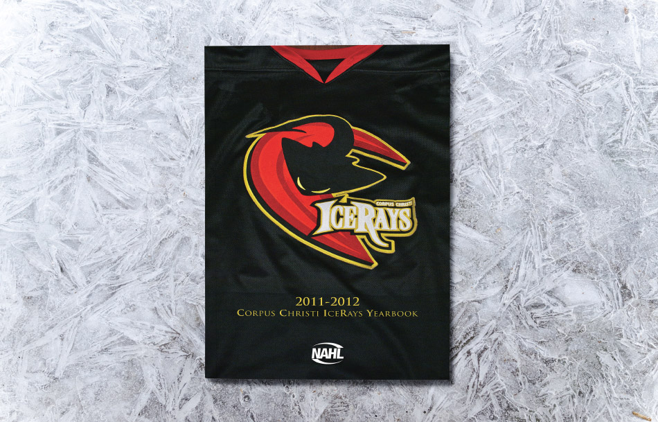 IceRay Program Guide Cover IceRay Program Guide Cover