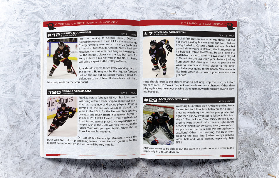 IceRay Program Guide Inside IceRay Program Guide Inside